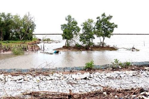 Cấp bách giữ đê biển Tây