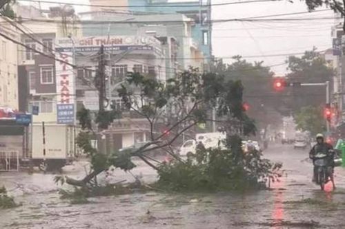 Tây Nguyên: Bão số 9 cuốn trôi cầu, hàng trăm người dân bị cô lập