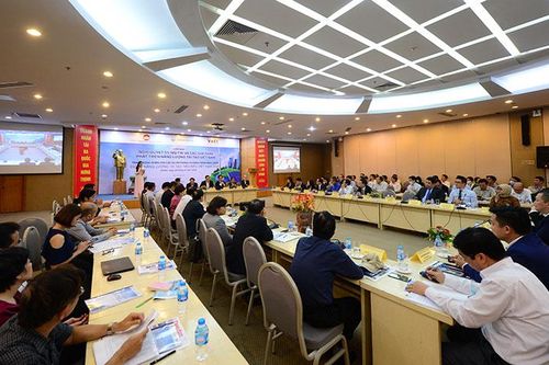 Việt Nam phù hợp triển khai điện gió quy mô lớn