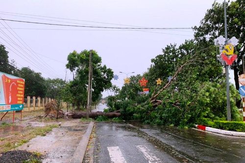 Bão số 9 gây nhiều thiệt hại ở Gia Lai