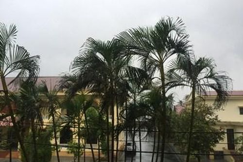 Bão số 9 bắt đầu gây mưa to, gió lớn tại Thừa Thiên-Huế
