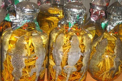 Hãi hùng loạt rượu ngâm nguyên con, 'ông uống bà tấm tắc khen'