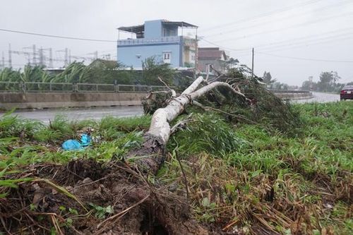 Cập nhật tin bão số 9: Bàn phương án cứu nạn 26 thuyền viên mất tích trên biển