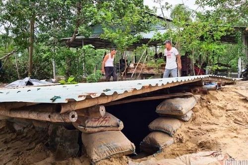 Chống hay trốn bão?