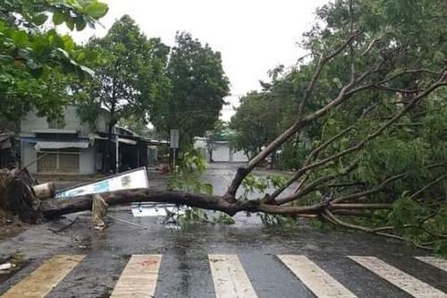 Học sinh, sinh viên Đà Nẵng tiếp tục nghỉ học ngày 29/10