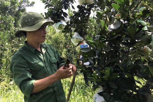 Lao động nông thôn tỉnh Hòa Bình: Học nghề để khởi nghiệp