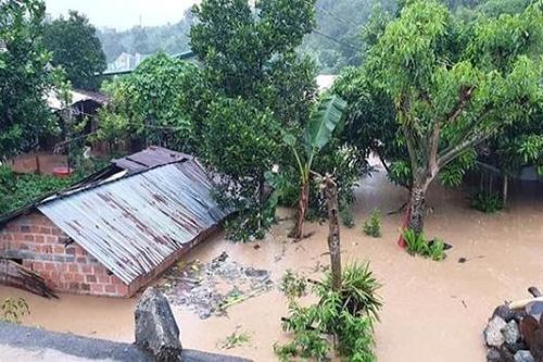 Bão số 9 'chặt đứt' huyện lộ ở Kon Tum, 80 xã phường của Gia Lai bị mất điện