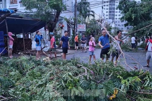 Bão tan, dân Đà Nẵng cùng lực lượng chức năng dọn dẹp đường phố