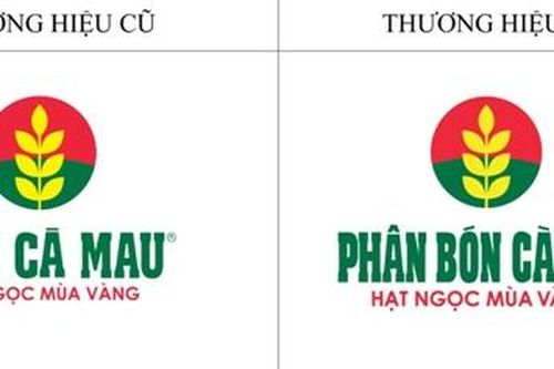 PVCFC mở rộng thương hiệu từ 'Đạm Cà Mau' sang 'Phân bón Cà Mau'