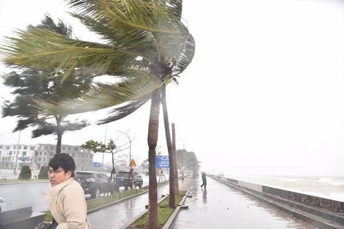 Bão số 9 giật cấp 15, học sinh 6 tỉnh nghỉ học hôm nay