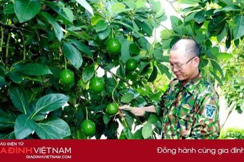 Vĩnh Phúc: Hiệu quả từ các đề tài nghiên cứu khoa học công nghệ