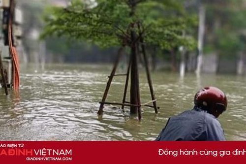Hàng loạt ngôi nhà bị tốc mái, hoa màu hư hỏng nặng nề do bão số 9