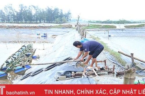 Nước lũ 'cuốn trôi' gần 170 tỷ đồng của người nuôi trồng thủy sản Hà Tĩnh