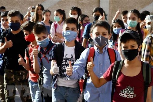 Việt Nam kêu gọi cộng đồng quốc tế hỗ trợ Syria ứng phó COVID-19