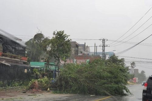 Bình Định: 19 người bị thương, hàng nghìn ngôi nhà bị tốc mái