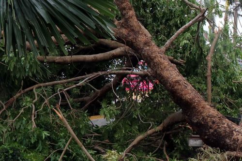 Đắk Lắk: Một người thiệt mạng, hàng nghìn ha cây trồng bị ảnh hưởng do bão số 9