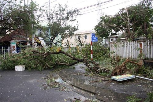 Quảng Nam: Bão số 9 làm 7 người thương vong, 43 nhà bị tốc mái, sạt lở bồi lấp