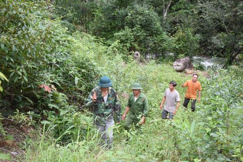 Lâm tặc khét tiếng hoàn lương trở thành cán bộ bảo vệ rừng