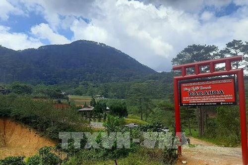 Ngang nhiên xây dựng làng biệt thự trên đất rừng có chủ