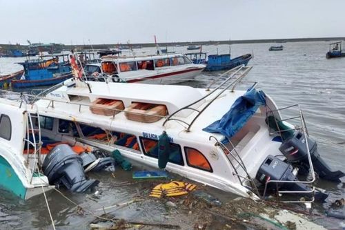 Quảng Ngãi hứng tâm bão số 9, cây xanh đổ hàng loạt, ghi nhận 1 người chết