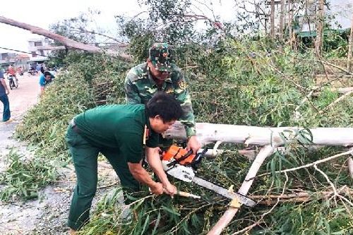 Khẩn trương thu dọn cây cối bị bão số 9 làm gãy đổ