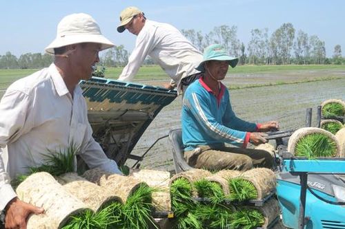 Kết quả nổi bật sau 3 năm thực hiện Nghị quyết Đại hội Liên minh Hợp tác xã tỉnh Đồng Tháp lần thứ V