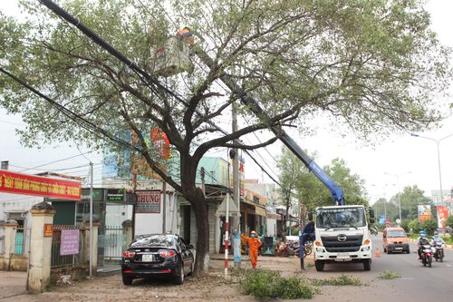 Các địa phương ở Gia Lai triển khai ứng phó bão số 9