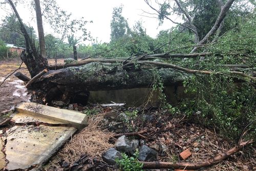Gia Lai: Bão số 9 gây thiệt hại nhiều tài sản, 1 người bị thương do tường sập