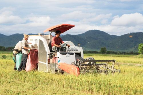 Krông Pa đẩy mạnh tái cơ cấu nông nghiệp