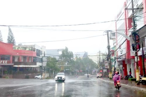 Không tổ chức kinh doanh vận tải tại khu vực bão số 9 đổ bộ