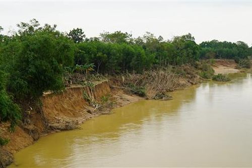Trên 3 km bờ sông Hiếu đoạn qua huyện Cam Lộ bị sạt lở nghiêm trọng