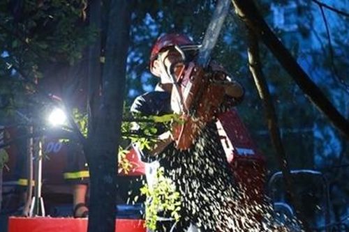 Hàng trăm cây xanh bật gốc, gãy đổ trên đường phố Đà Nẵng
