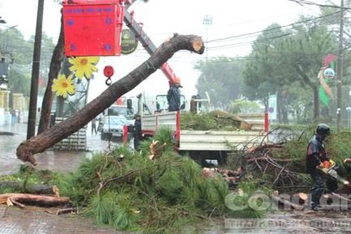 Clip lũ cuốn bay cầu ở Kon Tum trong tích tắc