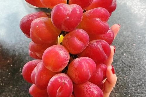 Nho Nhật hình trái tim giá hơn 2 triệu đồng/kg hút nhà giàu Việt