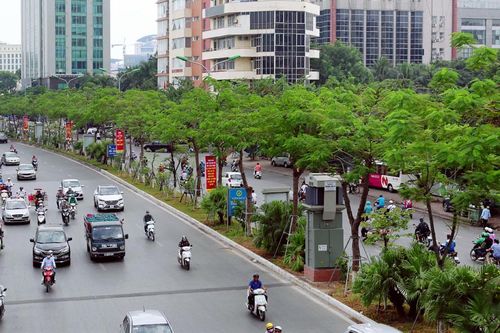 Phấn đấu nâng tỷ lệ cây xanh tại Hà Nội lên 8-10m2/người vào năm 2025