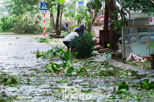 Đà Nẵng sau cơn cuồng phong bão số 9: Mỗi người một tay dọn dẹp cảnh ngổn ngang