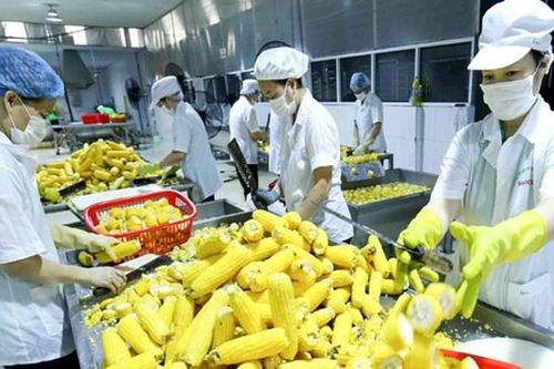 Nông sản năng động tìm kiếm thị trường