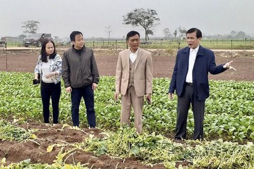 Đại hội Đại biểu Liên minh Hợp tác xã TP Hà Nội lần thứ VI: Phát huy vai trò nòng cốt trong phát triển kinh tế tập thể