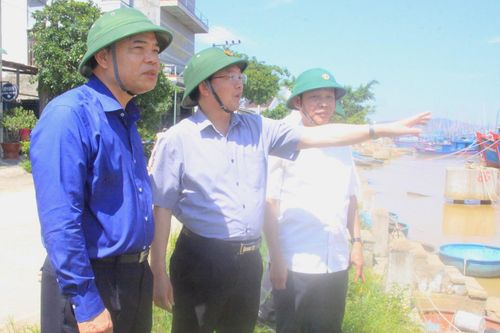 Bộ trưởng Bộ NN&PTNT kiểm tra công tác khắc phục sau bão tại Bình Định