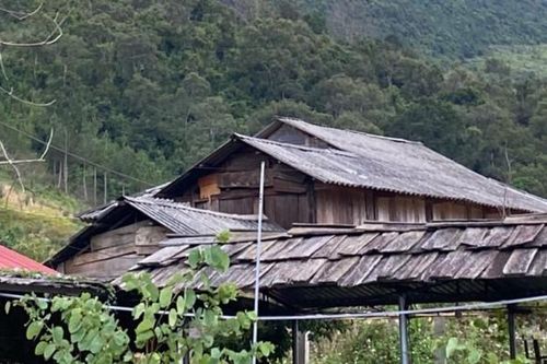 Sơn La: Nghịch tử giết bố rồi trốn vào rừng ăn lá ngón tự tử