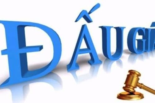Thông báo đấu giá quyền sử dụng đất