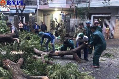 Thành phố Đà Nẵng ngổn ngang sau khi bị bão số 9 'càn quét'