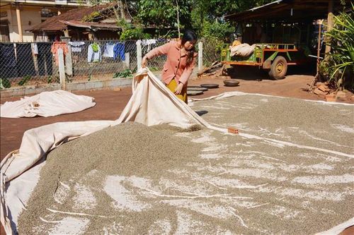 Giải pháp 'đưa cần câu' thay 'cho con cá': Khi ý Đảng đi vào lòng dân - Bài 1: Điểm sáng trong chính sách giảm nghèo