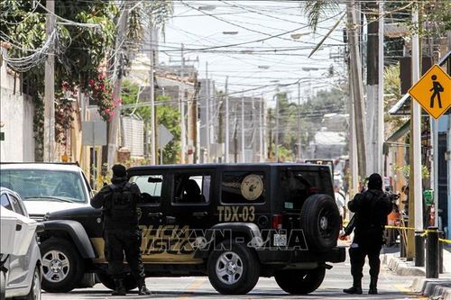Mexico phát hiện hố chôn tập thể tại bang Guanajuanto