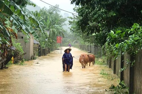 Hà Tĩnh lệnh sơ tán khẩn cả nghìn người dân khỏi vùng ngập lụt, sạt lở