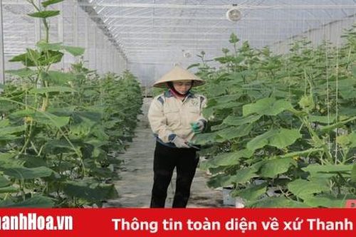 Tích tụ, tập trung đất đai ở huyện Quảng Xương