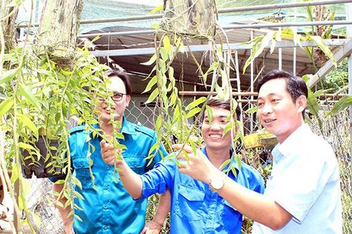 Đảng viên trẻ nhiệt huyết