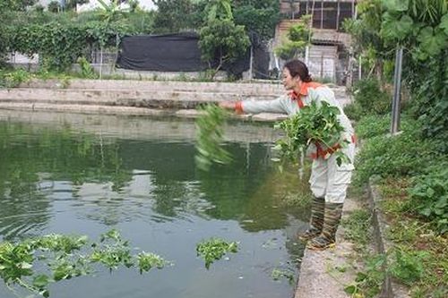 Thêm điểm tựa giúp nông dân vươn lên làm giàu