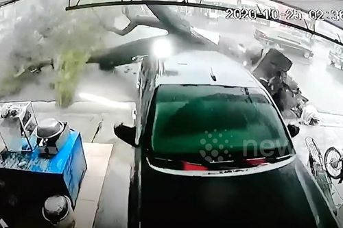 Cây cổ thụ bật gốc trong bão Molave đè nát ô tô Hilux