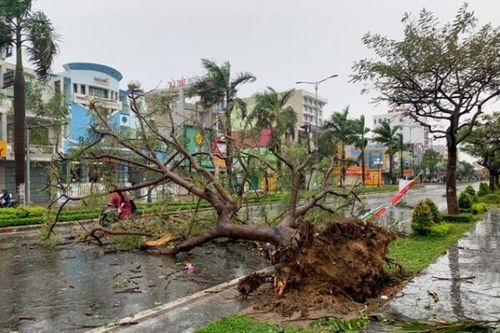 Bão số 9: Hàng chục người bị vùi lấp, hàng chục nghìn căn nhà, công sở bị hư hỏng
